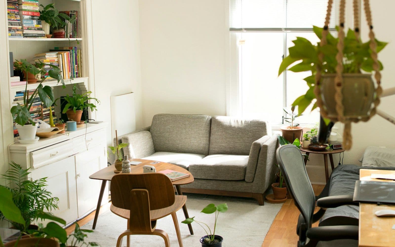 Clean and bright living room after a house cleaning